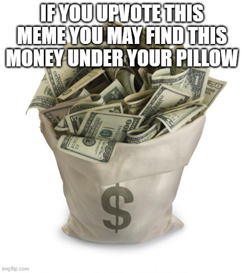 Bag of money | IF YOU UPVOTE THIS MEME YOU MAY FIND THIS MONEY UNDER YOUR PILLOW | image tagged in bag of money,memes,president_joe_biden | made w/ Imgflip meme maker