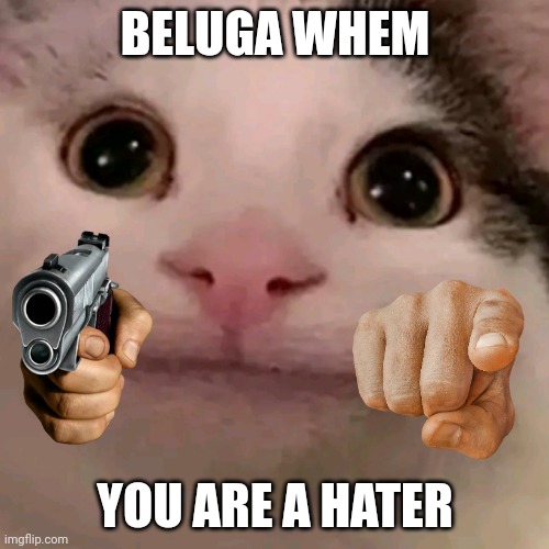 No hate to beluga! | BELUGA WHEM; YOU ARE A HATER | image tagged in beluga | made w/ Imgflip meme maker