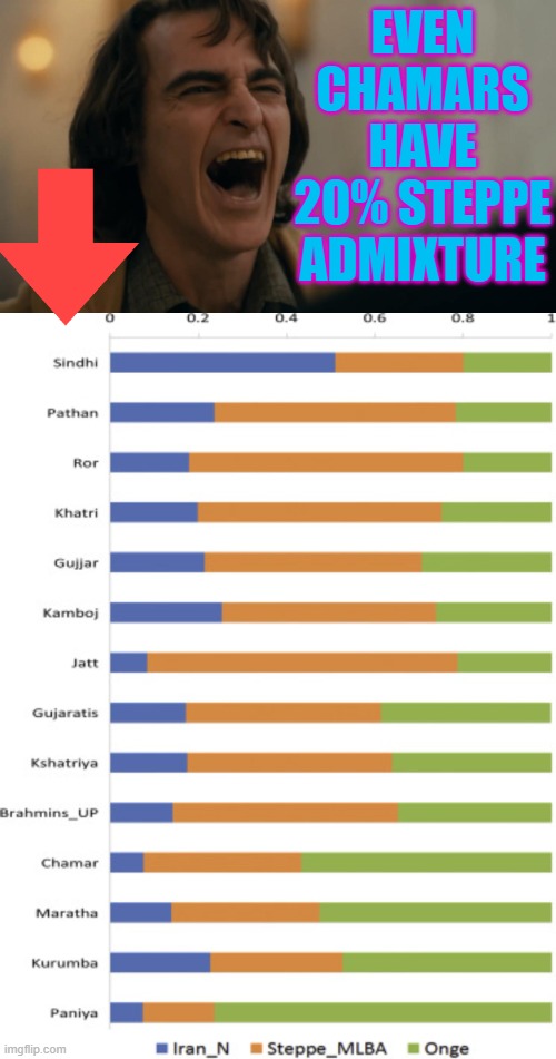 even chamars have 20% steppe admixture | EVEN CHAMARS HAVE 20% STEPPE ADMIXTURE | image tagged in steppe admixture | made w/ Imgflip meme maker