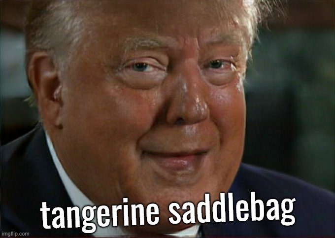 tangerine saddlebag | tangerine saddlebag | image tagged in orange trump,annoying orange,tangerine,saddlebag,sweating bullets,trump interview | made w/ Imgflip meme maker