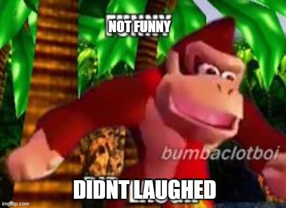 NOT FUNNY DIDNT LAUGHED | image tagged in funny did laugh | made w/ Imgflip meme maker