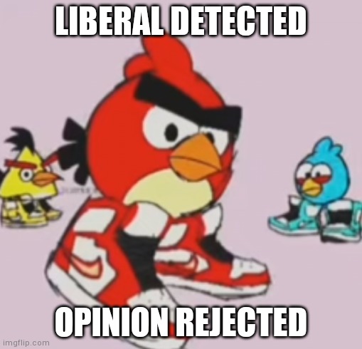 Angry birds drip | LIBERAL DETECTED; OPINION REJECTED | image tagged in angry birds drip | made w/ Imgflip meme maker