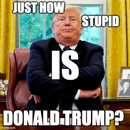 #StupidTrump - Imgflip