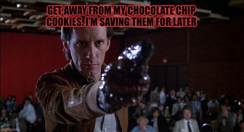 GET AWAY FROM MY CHOCOLATE CHIP COOKIES. I'M SAVING THEM FOR LATER | made w/ Imgflip meme maker