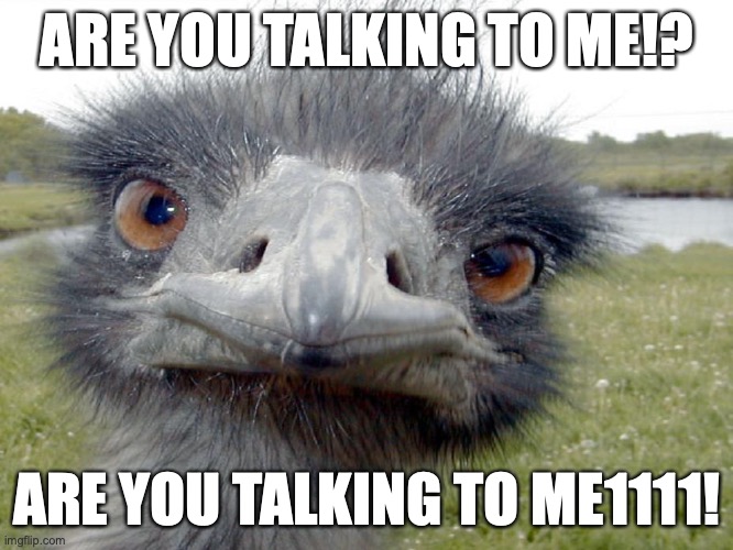 emu war - are you talking to me? | ARE YOU TALKING TO ME!? ARE YOU TALKING TO ME1111! | image tagged in emu head brah whats up | made w/ Imgflip meme maker