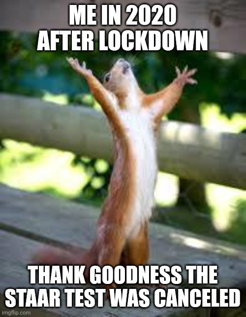 Praise Squirrel | ME IN 2020 AFTER LOCKDOWN; THANK GOODNESS THE STAAR TEST WAS CANCELED | image tagged in praise squirrel | made w/ Imgflip meme maker