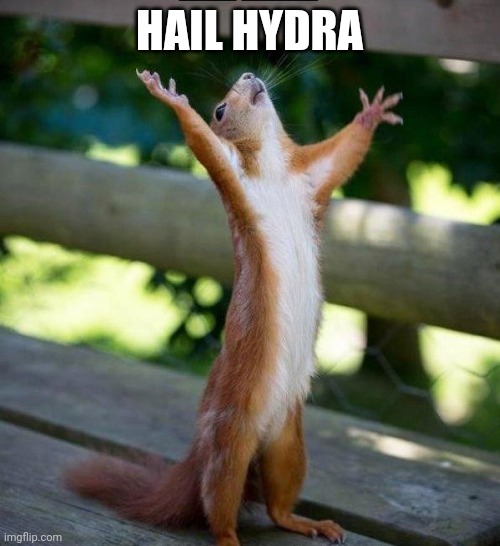 All Hail | HAIL HYDRA | image tagged in all hail | made w/ Imgflip meme maker