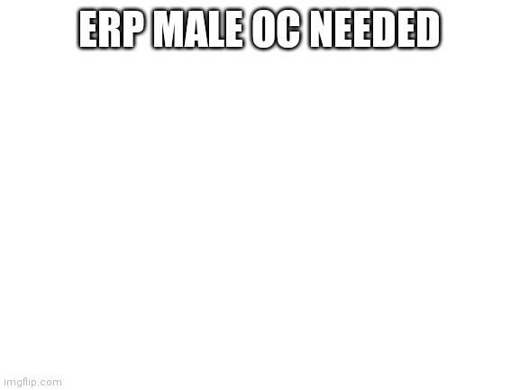 Blank White Template | ERP MALE OC NEEDED | image tagged in blank white template | made w/ Imgflip meme maker