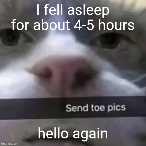 kat | I fell asleep for about 4-5 hours; hello again | image tagged in kat | made w/ Imgflip meme maker