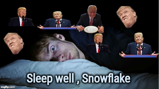 Extreme TDS | Sleep well , Snowflake | image tagged in extreme tds | made w/ Imgflip meme maker