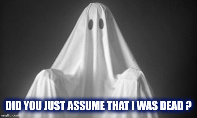 Ghost | DID YOU JUST ASSUME THAT I WAS DEAD ? | image tagged in ghost | made w/ Imgflip meme maker