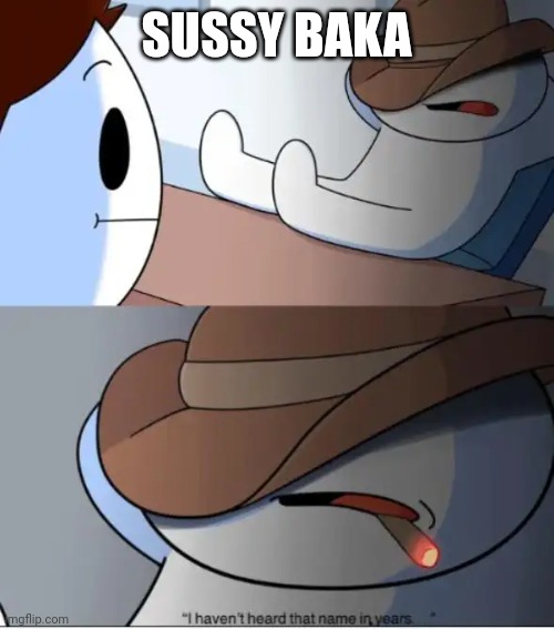 Pokemon Sussy Baka 12