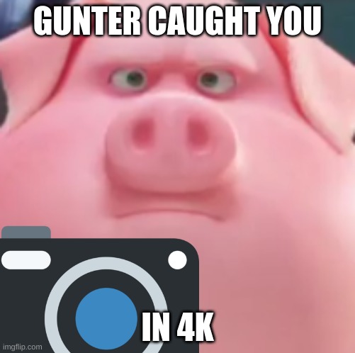 sing shitpost | GUNTER CAUGHT YOU; IN 4K | made w/ Imgflip meme maker