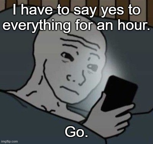 hehshhshshs | I have to say yes to everything for an hour. Go. | image tagged in why | made w/ Imgflip meme maker