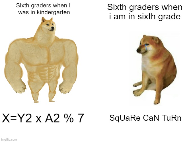 Buff Doge vs. Cheems Meme | Sixth graders when I 
was in kindergarten; Sixth graders when i am in sixth grade; X=Y2 x A2 % 7; SqUaRe CaN TuRn | image tagged in memes,buff doge vs cheems | made w/ Imgflip meme maker
