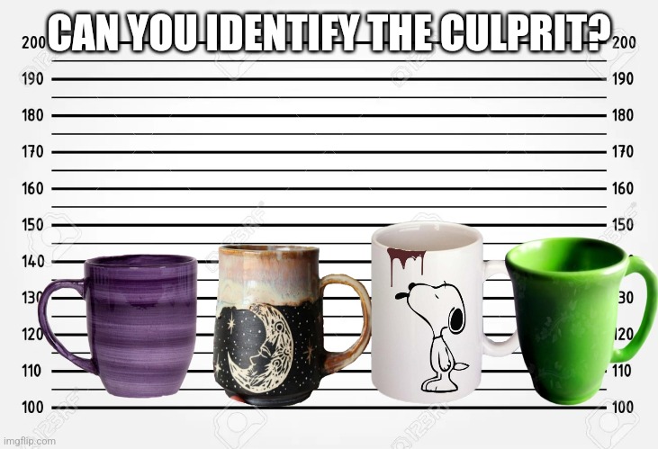 CAN YOU IDENTIFY THE CULPRIT? | made w/ Imgflip meme maker