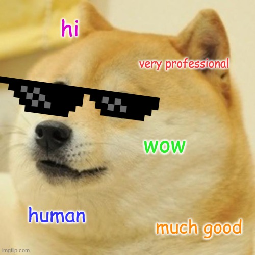 doge | hi; very professional; wow; human; much good | image tagged in memes,doge | made w/ Imgflip meme maker