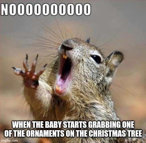 noooooooooooooooooooooooo | WHEN THE BABY STARTS GRABBING ONE OF THE ORNAMENTS ON THE CHRISTMAS TREE | image tagged in noooooooooooooooooooooooo | made w/ Imgflip meme maker