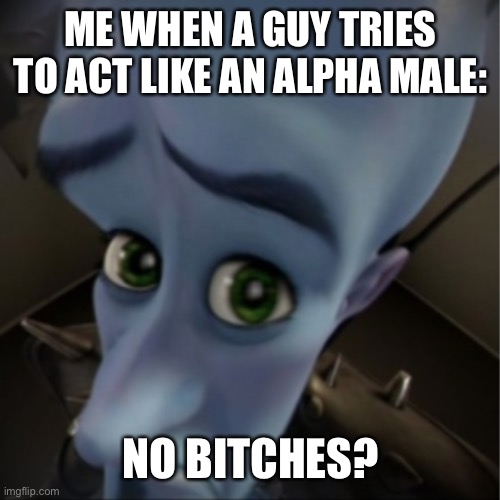 Megamind peeking | ME WHEN A GUY TRIES TO ACT LIKE AN ALPHA MALE:; NO BITCHES? | image tagged in megamind peeking | made w/ Imgflip meme maker