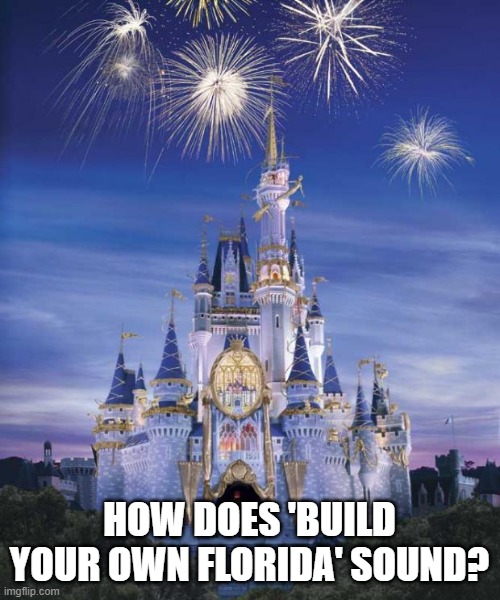 Disney | HOW DOES 'BUILD YOUR OWN FLORIDA' SOUND? | image tagged in disney | made w/ Imgflip meme maker