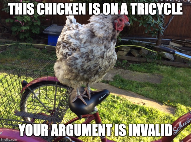 your argument has never been so invalid | THIS CHICKEN IS ON A TRICYCLE; YOUR ARGUMENT IS INVALID | image tagged in tricycle chicken | made w/ Imgflip meme maker