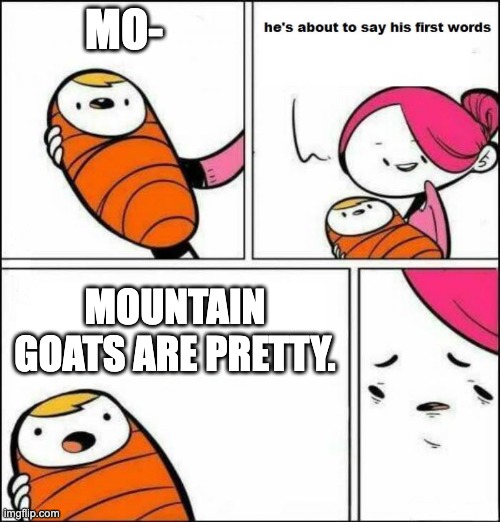 Mountain goats are pretty | MO-; MOUNTAIN GOATS ARE PRETTY. | image tagged in he is about to say his first words | made w/ Imgflip meme maker