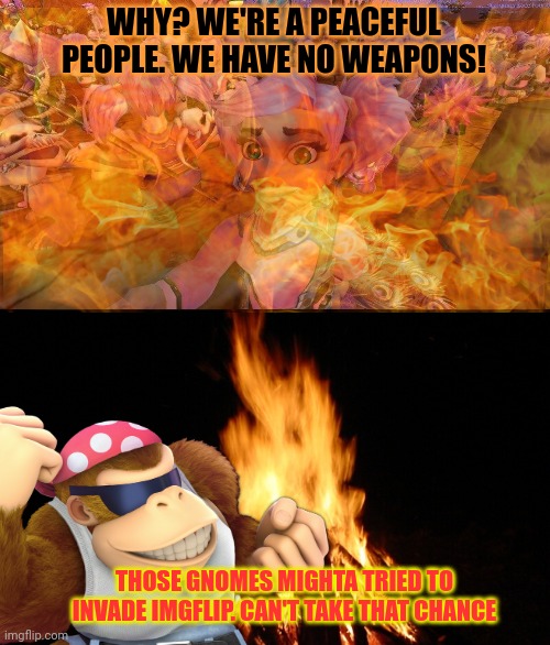 WHY? WE'RE A PEACEFUL PEOPLE. WE HAVE NO WEAPONS! THOSE GNOMES MIGHTA TRIED TO INVADE IMGFLIP. CAN'T TAKE THAT CHANCE | image tagged in campfire | made w/ Imgflip meme maker