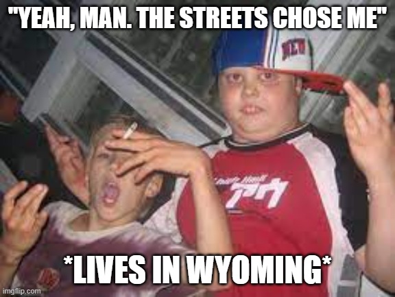 that one kid | "YEAH, MAN. THE STREETS CHOSE ME"; *LIVES IN WYOMING* | image tagged in annoying childhood friend | made w/ Imgflip meme maker