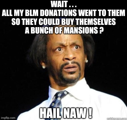 Buy-us Large Mansions | WAIT . . .
ALL MY BLM DONATIONS WENT TO THEM SO THEY COULD BUY THEMSELVES
 A BUNCH OF MANSIONS ? HAIL NAW ! | image tagged in liberals,democrats,blm,patrisse,biden,hollywood | made w/ Imgflip meme maker