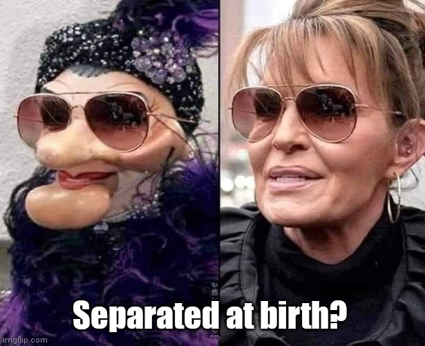 Sarah Palin Madam Separated at Birth | Separated at birth? | made w/ Imgflip meme maker