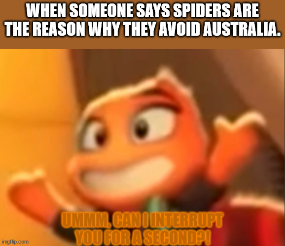 Ms. Tarantula is confused of your actions | WHEN SOMEONE SAYS SPIDERS ARE THE REASON WHY THEY AVOID AUSTRALIA. | image tagged in ms tarantula is confused of your actions | made w/ Imgflip meme maker