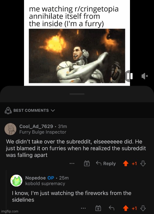 More from r/cringetopia | made w/ Imgflip meme maker