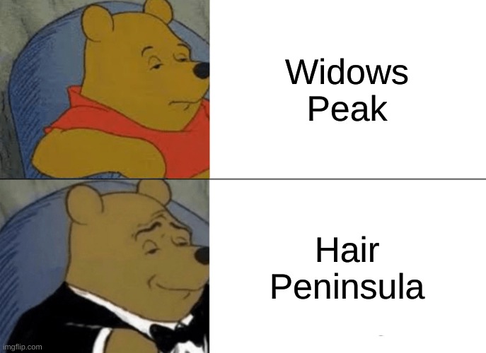 meme | Widows Peak; Hair Peninsula | image tagged in memes,tuxedo winnie the pooh | made w/ Imgflip meme maker