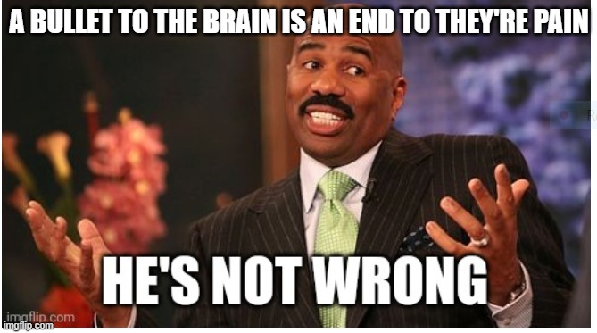 Well he's not 'wrong' |  A BULLET TO THE BRAIN IS AN END TO THEY'RE PAIN | image tagged in well he's not 'wrong',quotes,funny memes,memes,cringe worthy,good memes | made w/ Imgflip meme maker