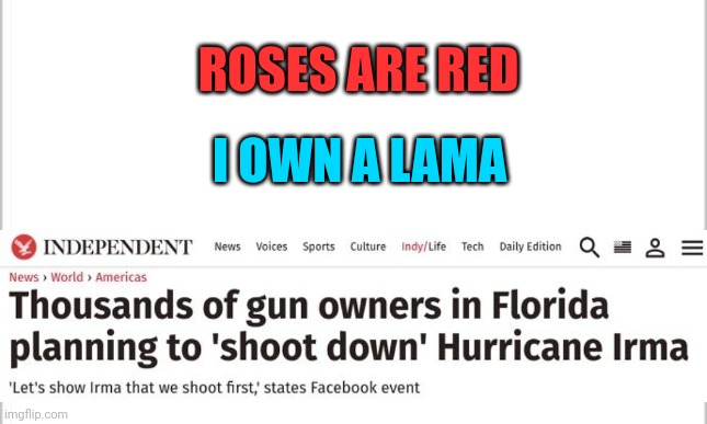 *°•☆ | ROSES ARE RED; I OWN A LAMA | image tagged in white background,roses are red,headlines,fun,meanwhile in florida,florida shooting | made w/ Imgflip meme maker