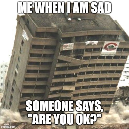(untitled) | ME WHEN I AM SAD; SOMEONE SAYS, "ARE YOU OK?" | image tagged in i m f a l l i n g | made w/ Imgflip meme maker
