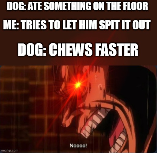 DOG: ATE SOMETHING ON THE FLOOR; ME: TRIES TO LET HIM SPIT IT OUT; DOG: CHEWS FASTER | image tagged in nooo | made w/ Imgflip meme maker
