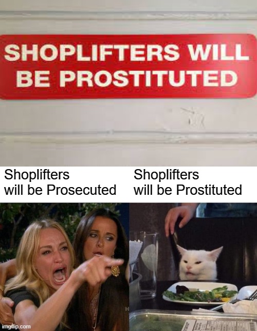 THE MAN WHO PUT THIS ONLY HAS ONE JOB | Shoplifters will be Prosecuted; Shoplifters will be Prostituted | image tagged in memes,woman yelling at cat,you had one job,dank,funny memes | made w/ Imgflip meme maker