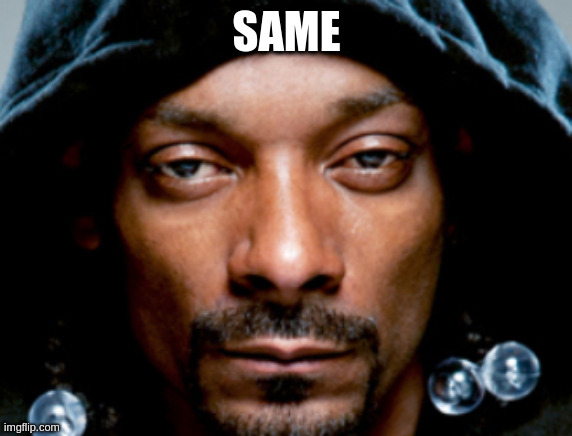 Snoop Scowl | SAME | image tagged in snoop scowl | made w/ Imgflip meme maker