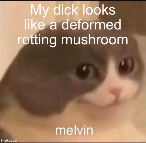 melvin | My dick looks like a deformed rotting mushroom | image tagged in melvin | made w/ Imgflip meme maker