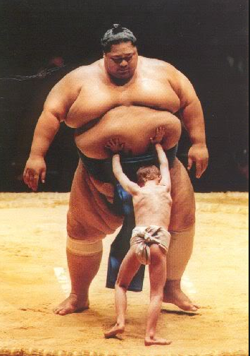 High Quality sumo wrestler and tiny opponent Blank Meme Template