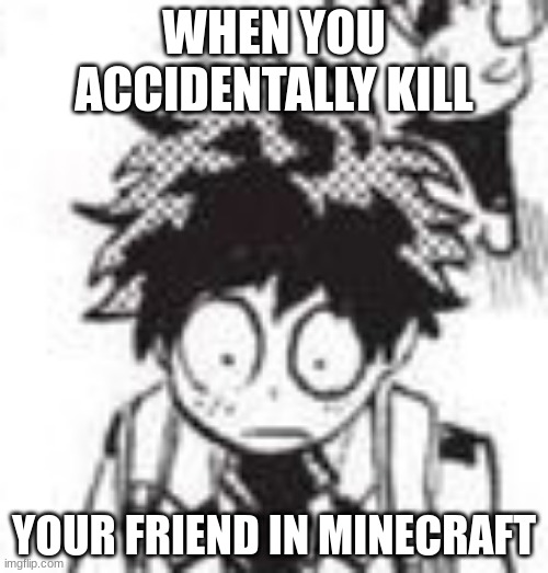 This also goes for their pets. | WHEN YOU ACCIDENTALLY KILL; YOUR FRIEND IN MINECRAFT | image tagged in deku is concerned about your browser history | made w/ Imgflip meme maker