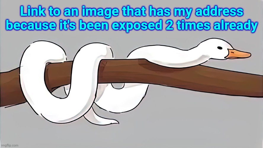 https://imgflip.com/i/6d51p0 | Link to an image that has my address because it's been exposed 2 times already | image tagged in snuck | made w/ Imgflip meme maker