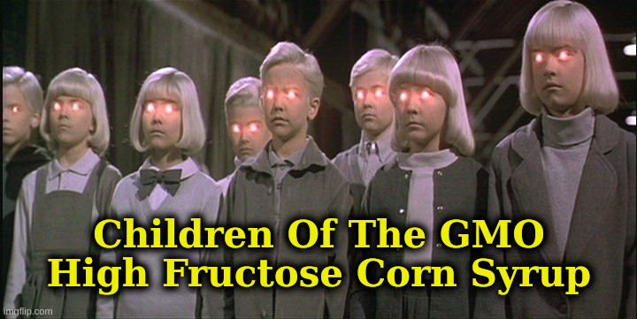 HFCS |  Children Of The GMO
High Fructose Corn Syrup | image tagged in children,corn,gmo,carbs,diet,food | made w/ Imgflip meme maker