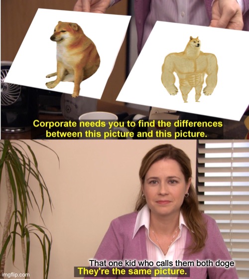 They're The Same Picture Meme | That one kid who calls them both doge | image tagged in memes,they're the same picture | made w/ Imgflip meme maker