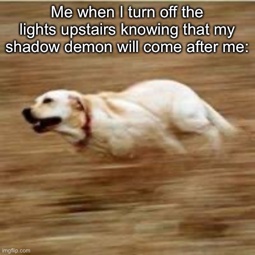 I do it today for no reason | Me when I turn off the lights upstairs knowing that my shadow demon will come after me: | image tagged in speedy doggo | made w/ Imgflip meme maker