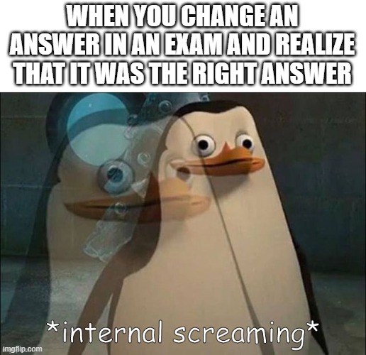 Private Internal Screaming | WHEN YOU CHANGE AN ANSWER IN AN EXAM AND REALIZE THAT IT WAS THE RIGHT ANSWER | image tagged in private internal screaming | made w/ Imgflip meme maker