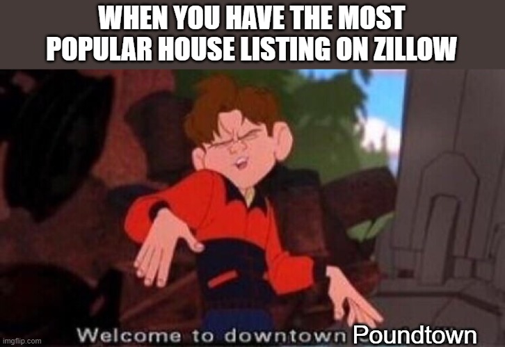 Look it up in the news if you don't get it | WHEN YOU HAVE THE MOST POPULAR HOUSE LISTING ON ZILLOW; Poundtown | image tagged in welcome to downtown coolsville,memes,poundtown,zillow,real estate | made w/ Imgflip meme maker