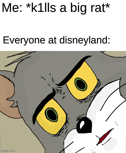 g | Me: *k1lls a big rat*; Everyone at disneyland: | image tagged in memes,unsettled tom | made w/ Imgflip meme maker