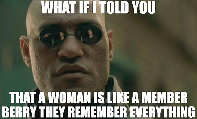 never forggeting | WHAT IF I TOLD YOU; THAT A WOMAN IS LIKE A MEMBER BERRY THEY REMEMBER EVERYTHING | image tagged in memes,matrix morpheus | made w/ Imgflip meme maker